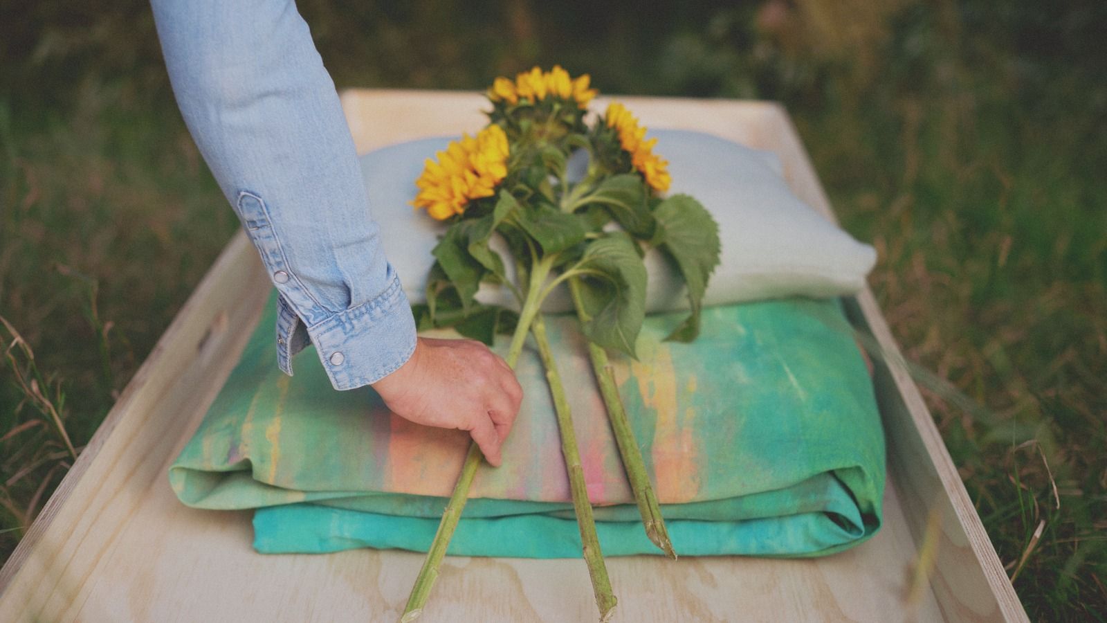 Zonnebloemen op de wade